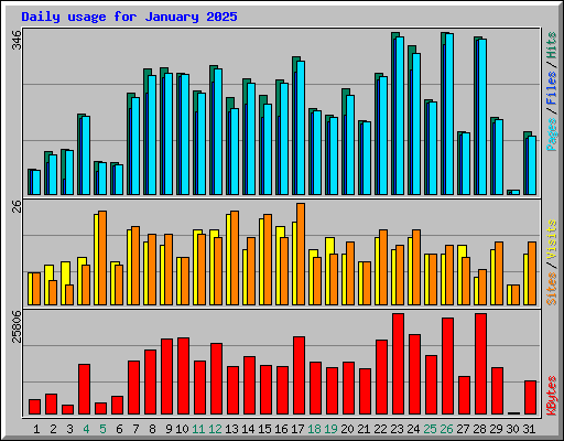 Daily usage for January 2025