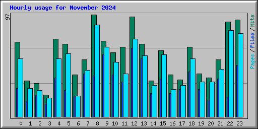 Hourly usage for November 2024
