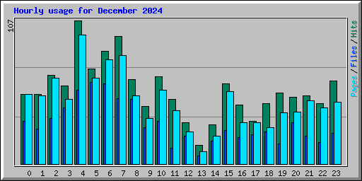 Hourly usage for December 2024