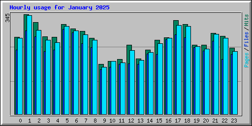 Hourly usage for January 2025