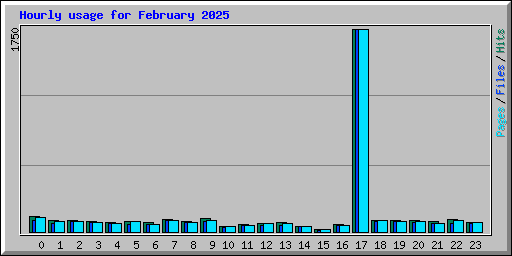Hourly usage for February 2025