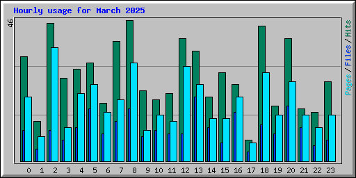 Hourly usage for March 2025