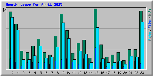 Hourly usage for April 2025