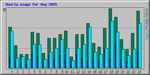 Hourly usage for May 2025