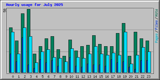 Hourly usage for July 2025