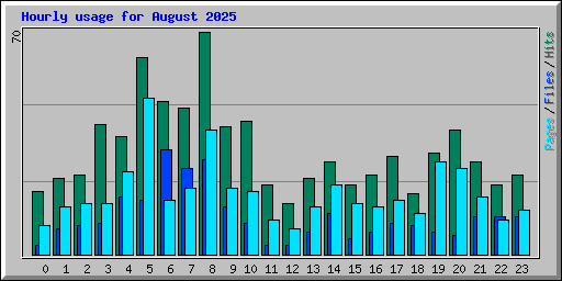 Hourly usage for August 2025