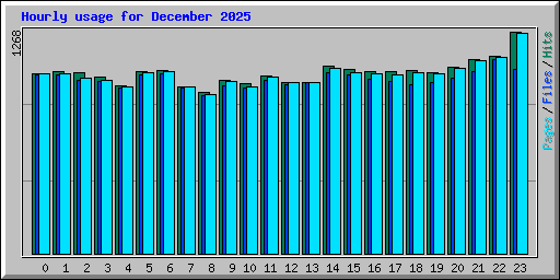 Hourly usage for December 2025