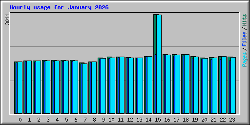 Hourly usage for January 2026