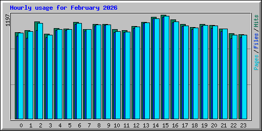 Hourly usage for February 2026